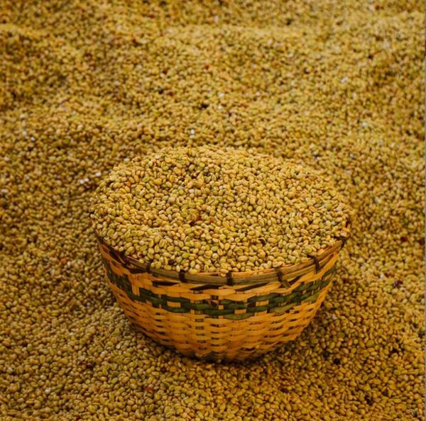 Cafea Etiopia Wendo